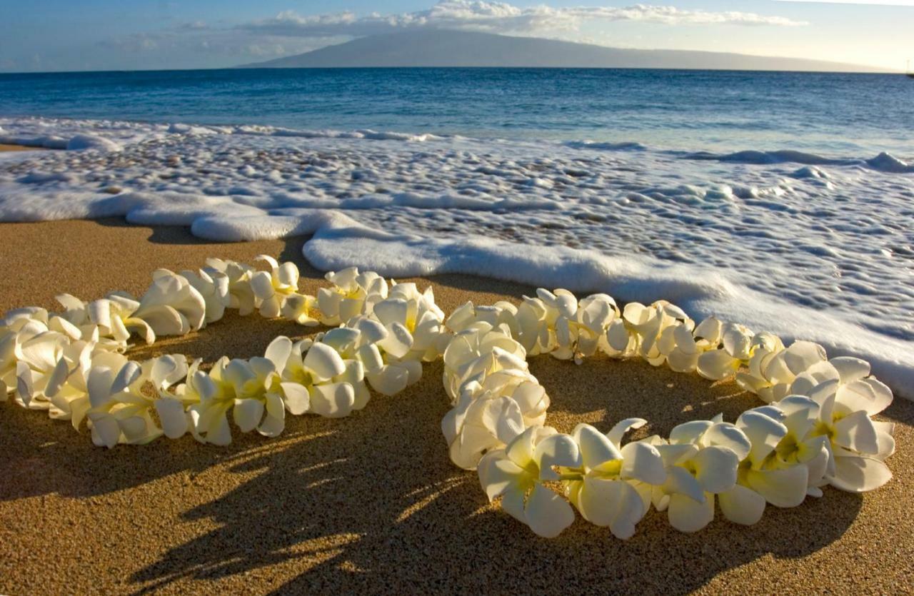Beautiful Studio In The Heart Of Vibrant Waikiki Honolulu Buitenkant foto